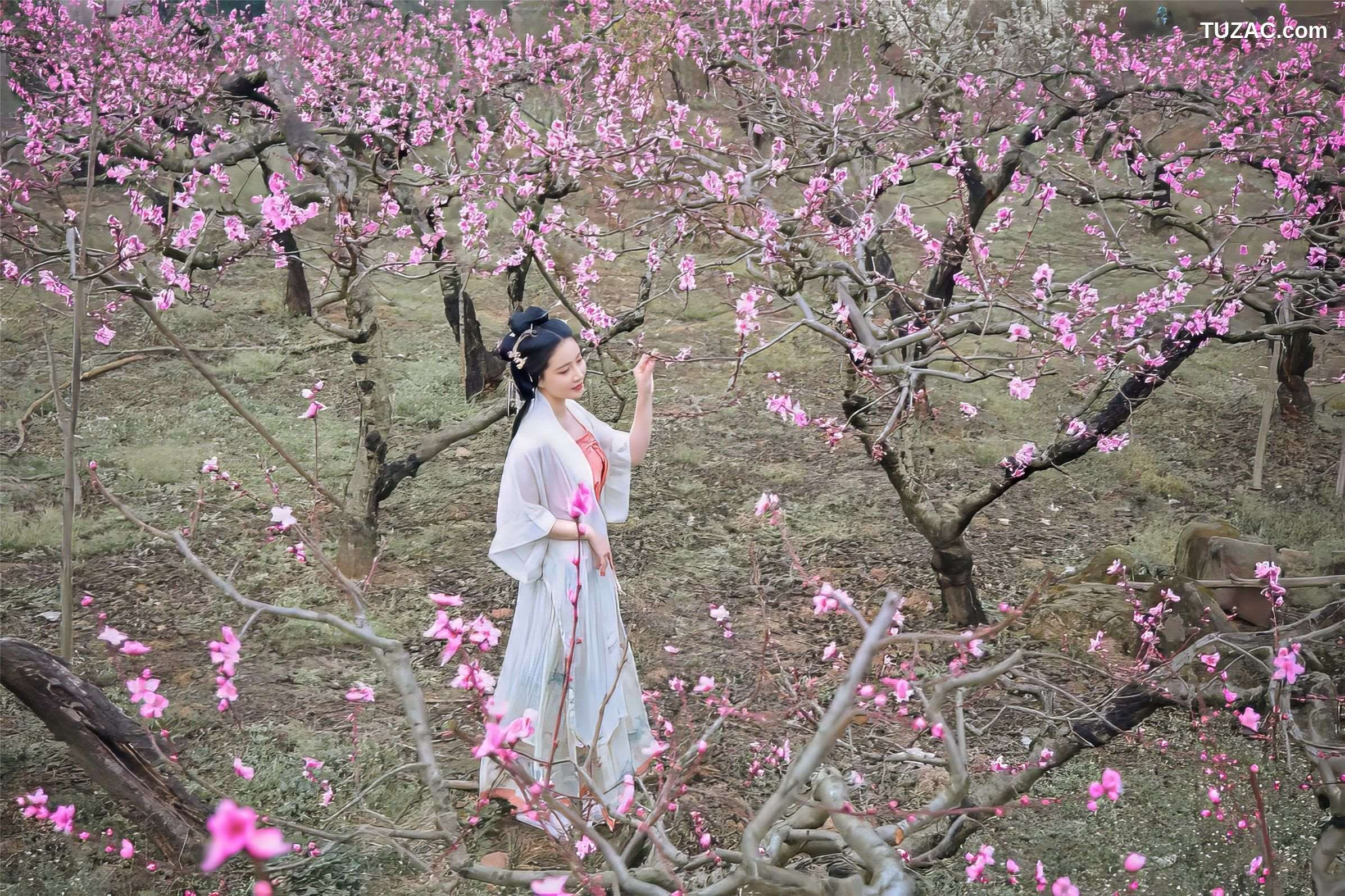 年年-三月榕-March-Banyan-Tree