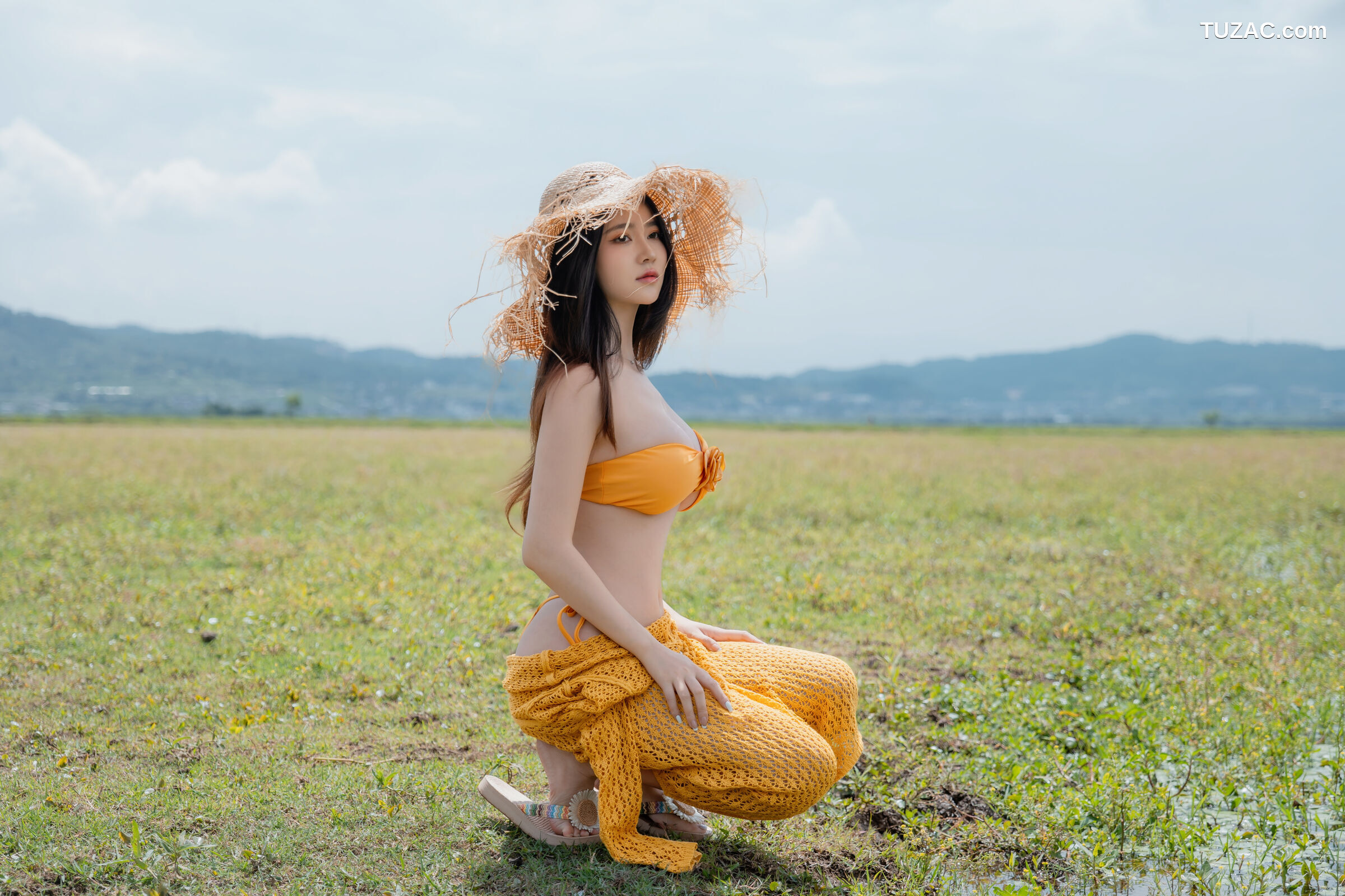 年年-夏麓