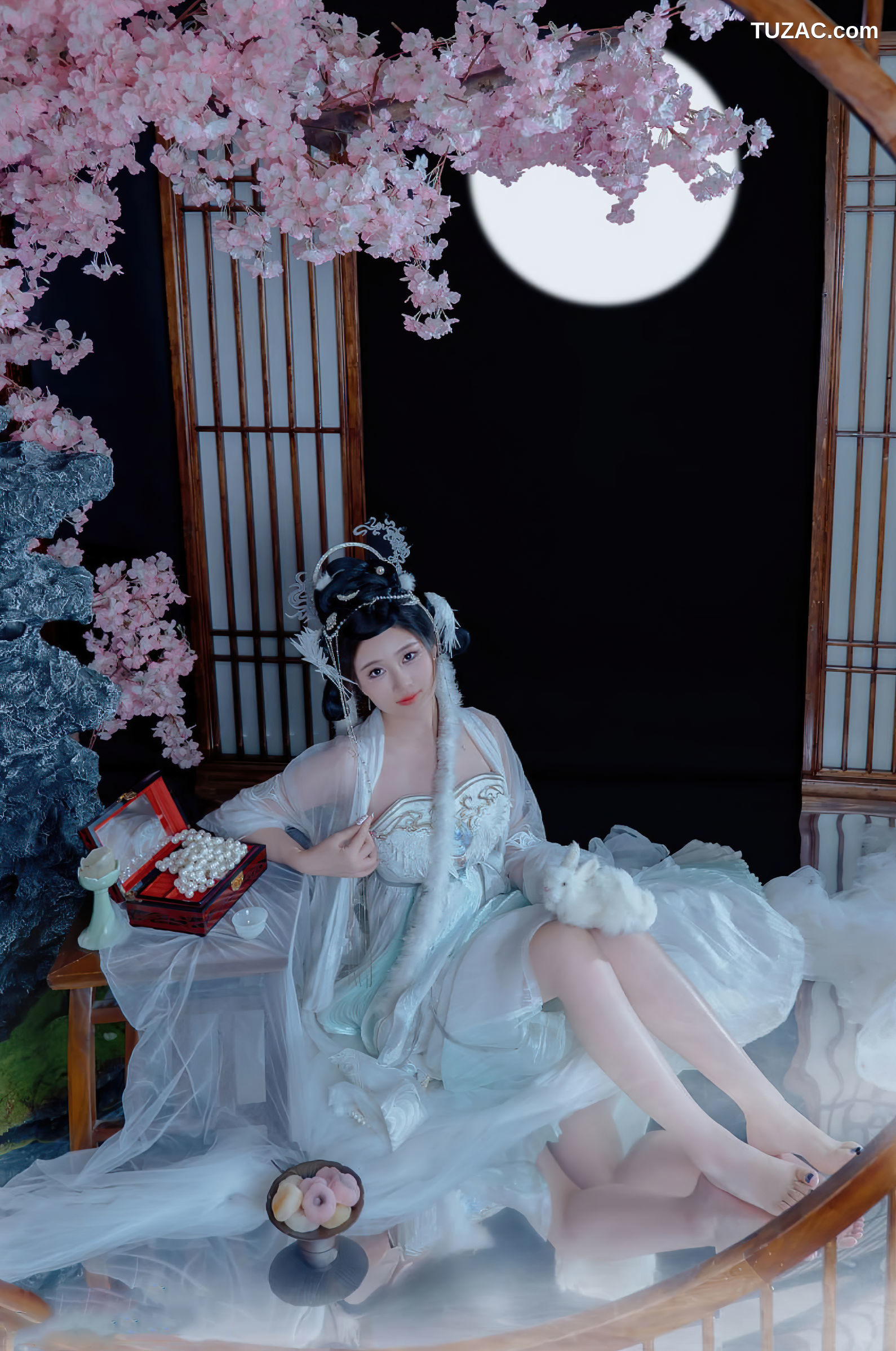 年年Nnian-嫦娥仙子