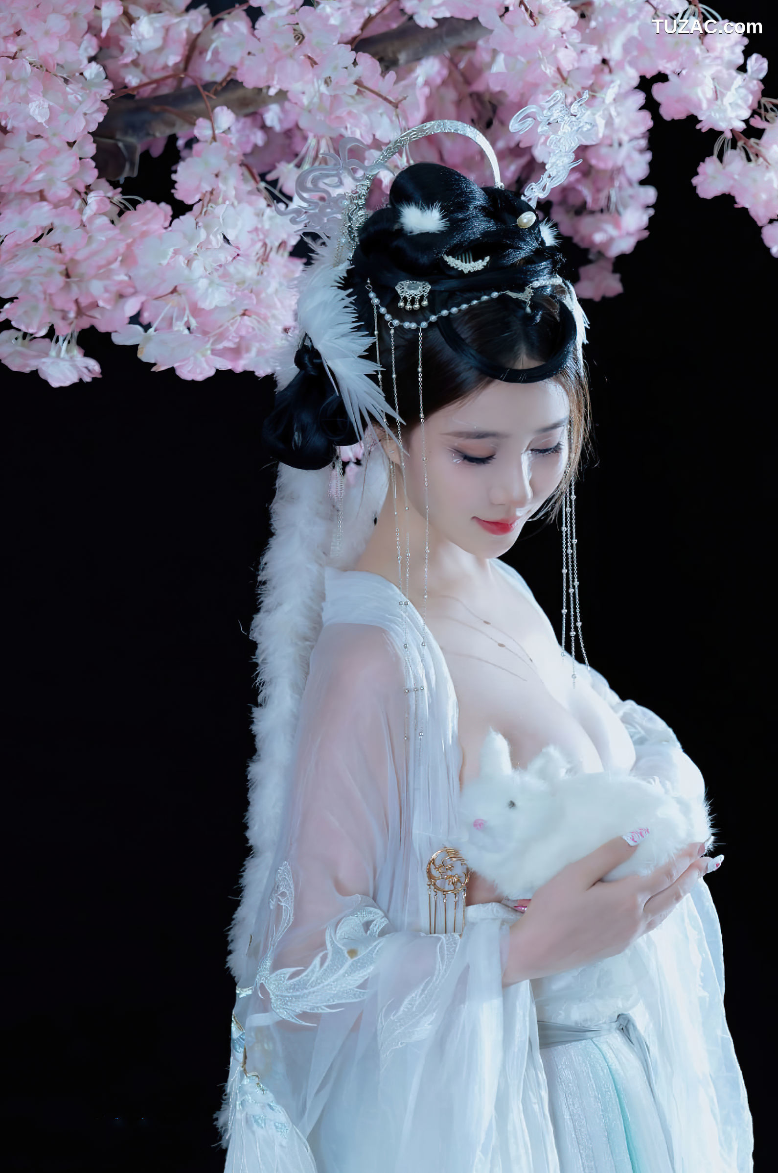 年年Nnian-嫦娥仙子