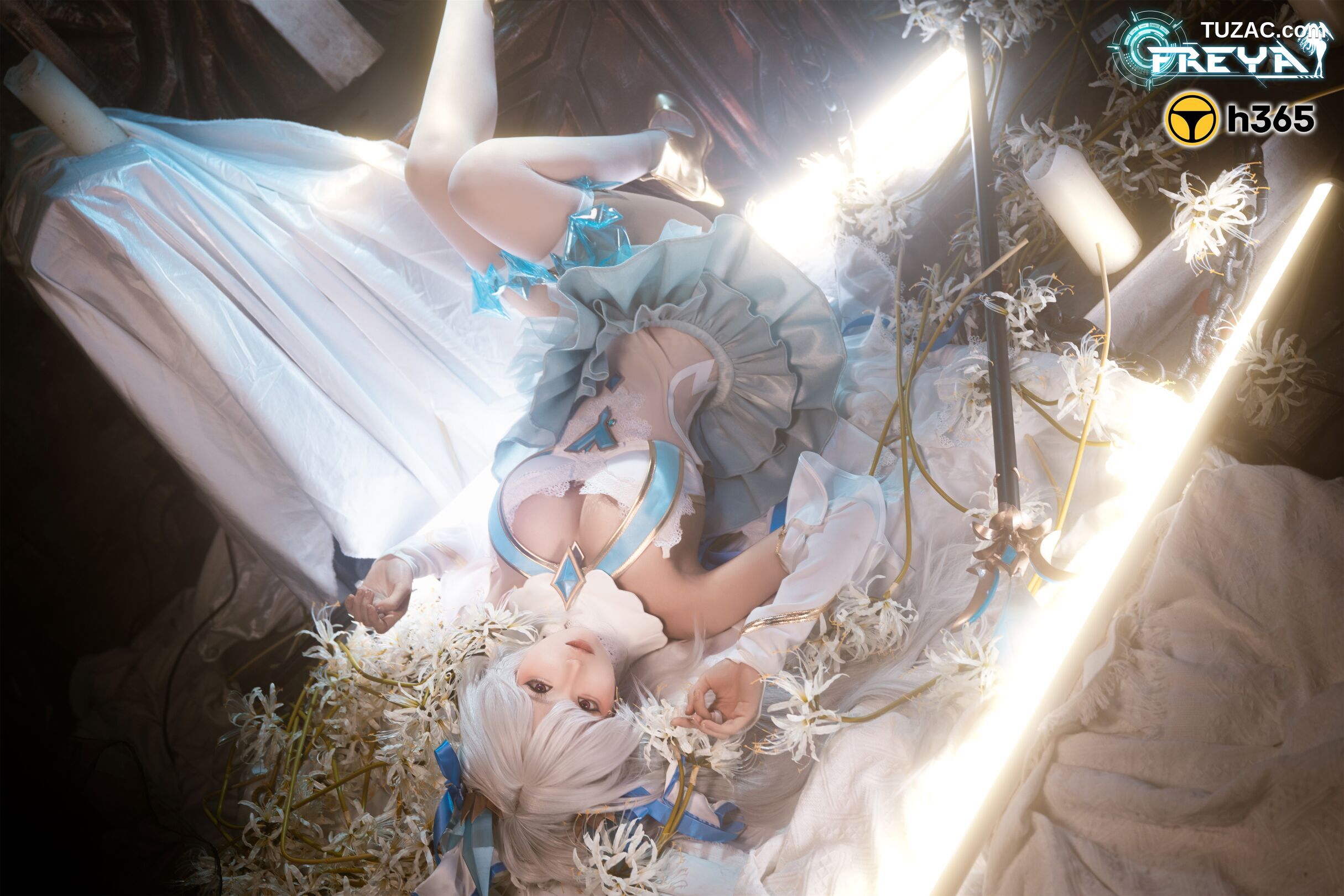 蠢沫沫-三月T3赠品《梦姬Freya》