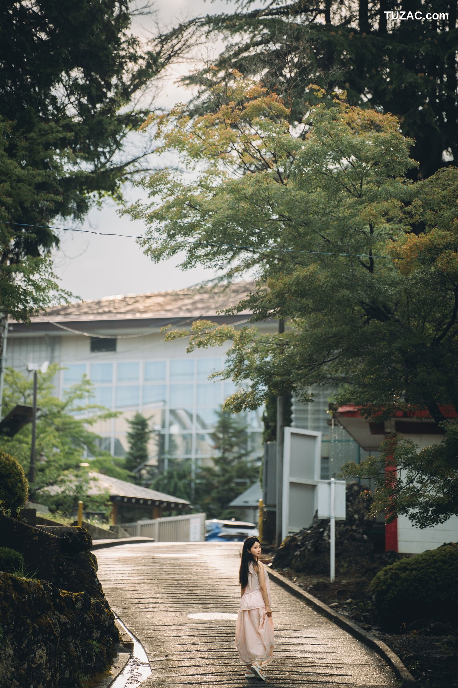蠢沫沫-夏想-下