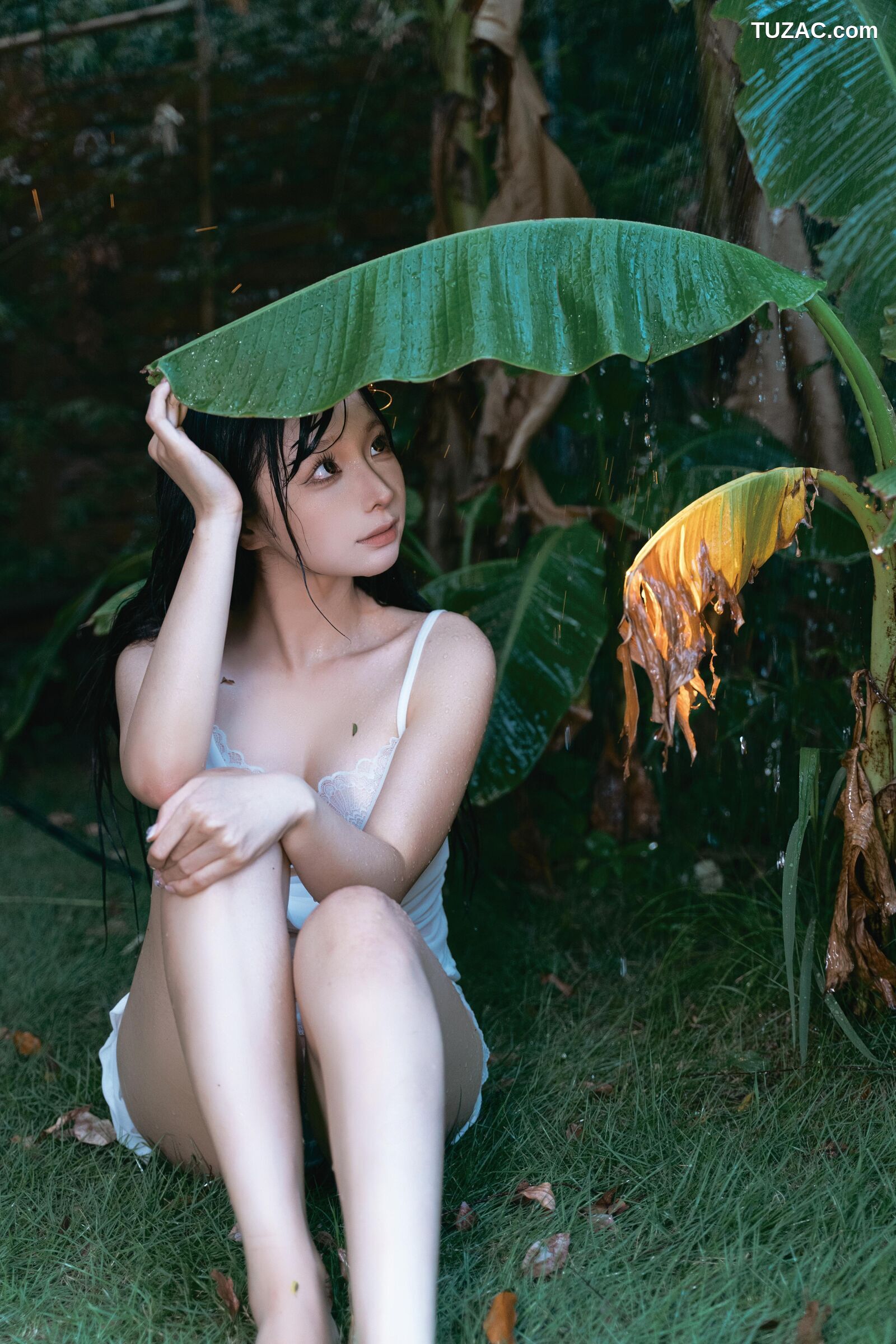 蠢沫沫-雨