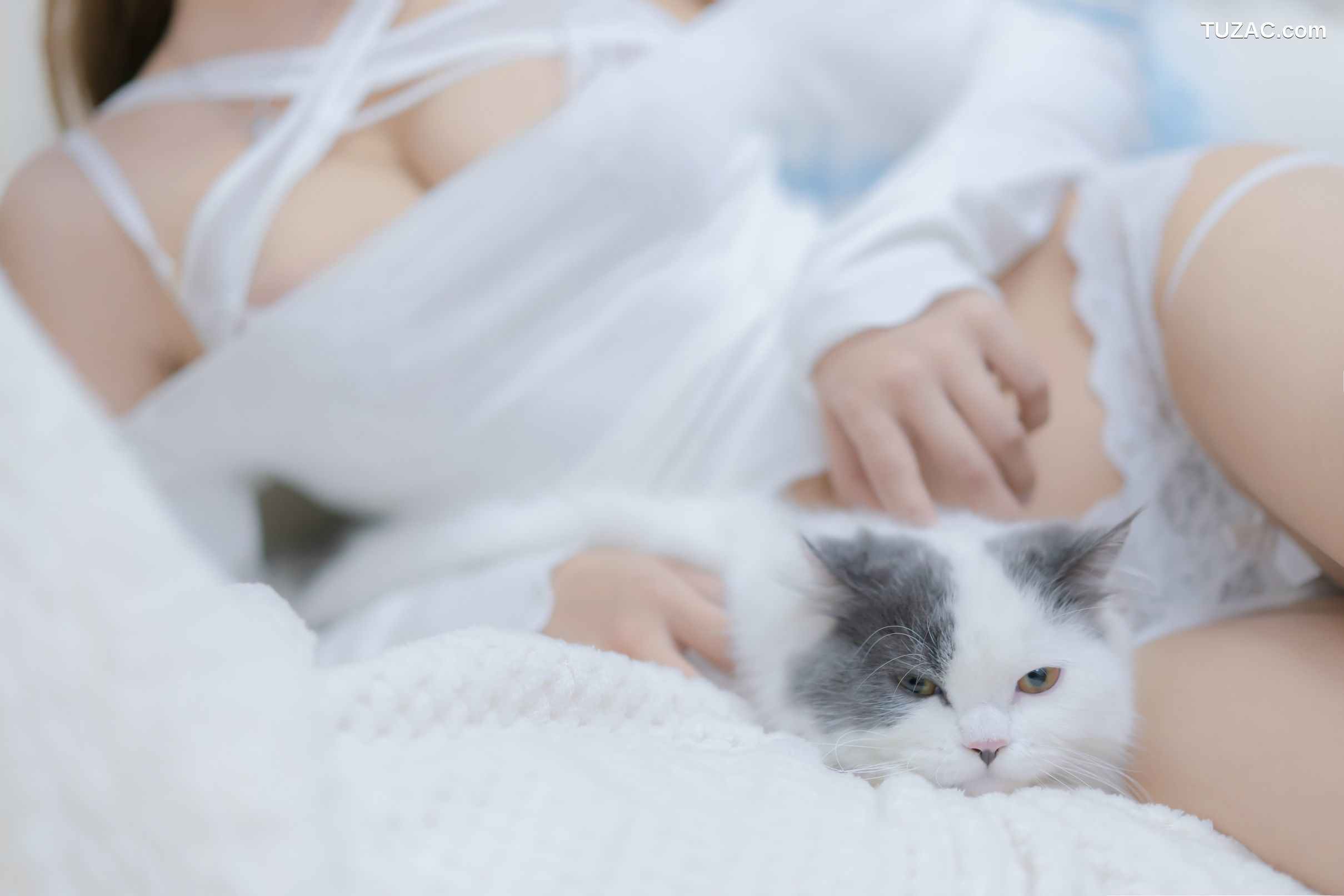 过期米线线喵-我和猫