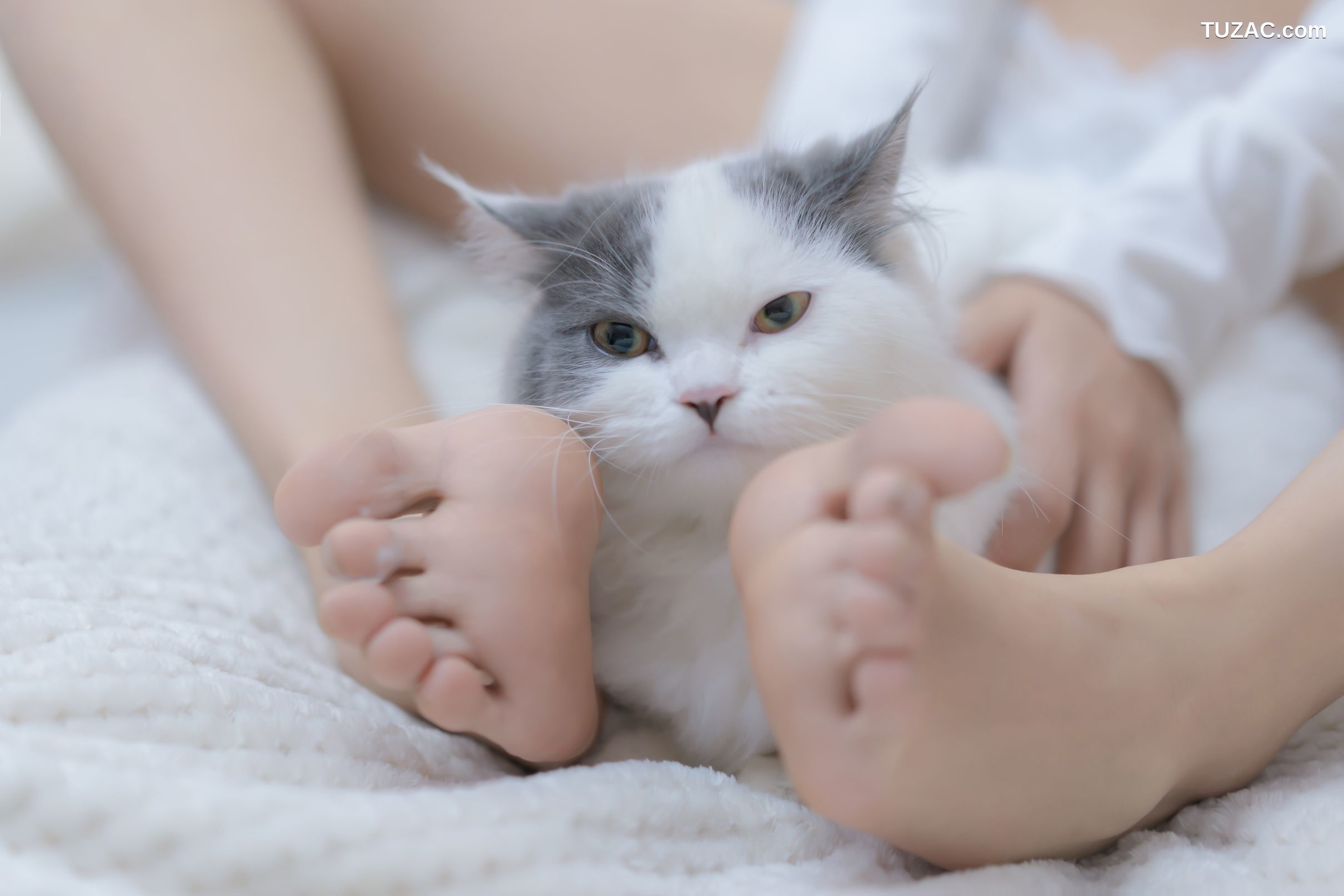 过期米线线喵-我和猫