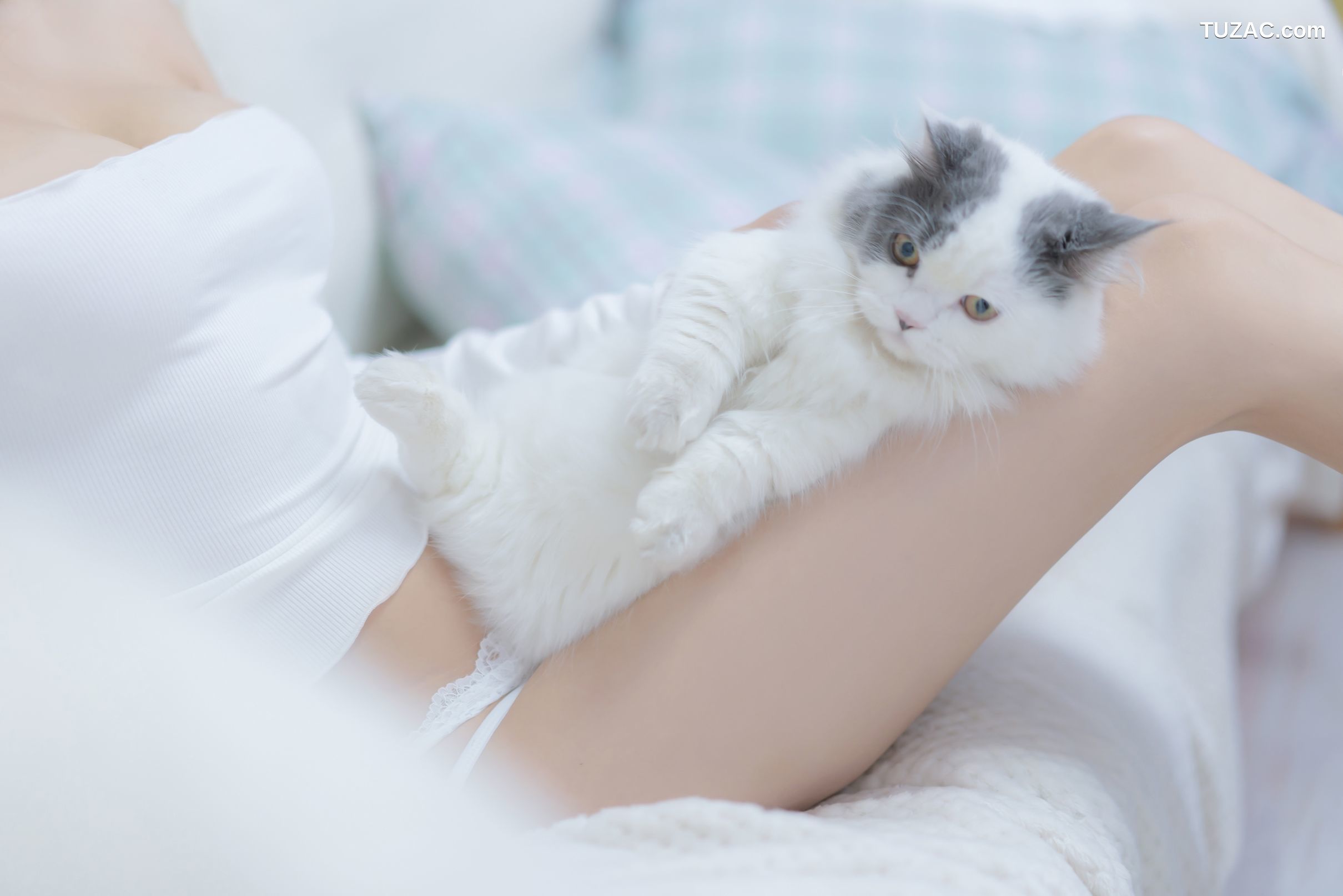 过期米线线喵-我和猫