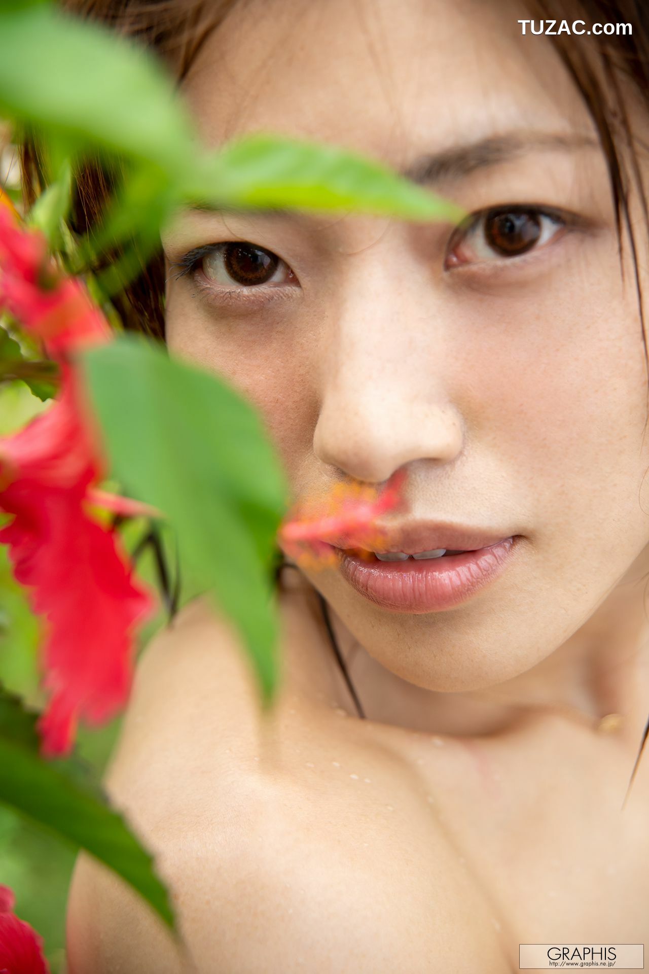 Graphis_市川まさみ 《Majestic Beauty》 Gals 写真集[42P]