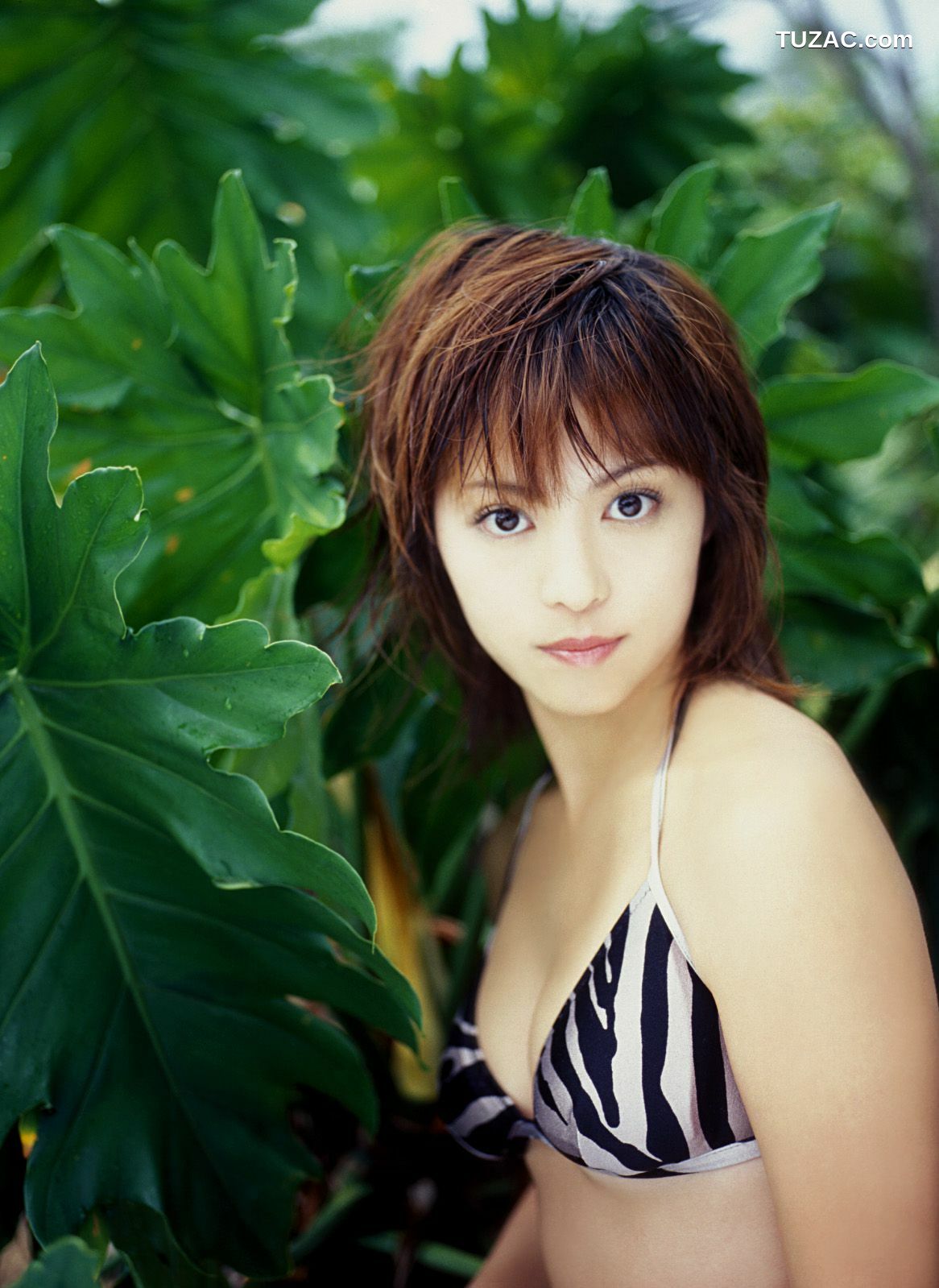 NS Eyes_ SF-No.341 岩佐真悠子 Mayuko Iwasa 写真集[79P]