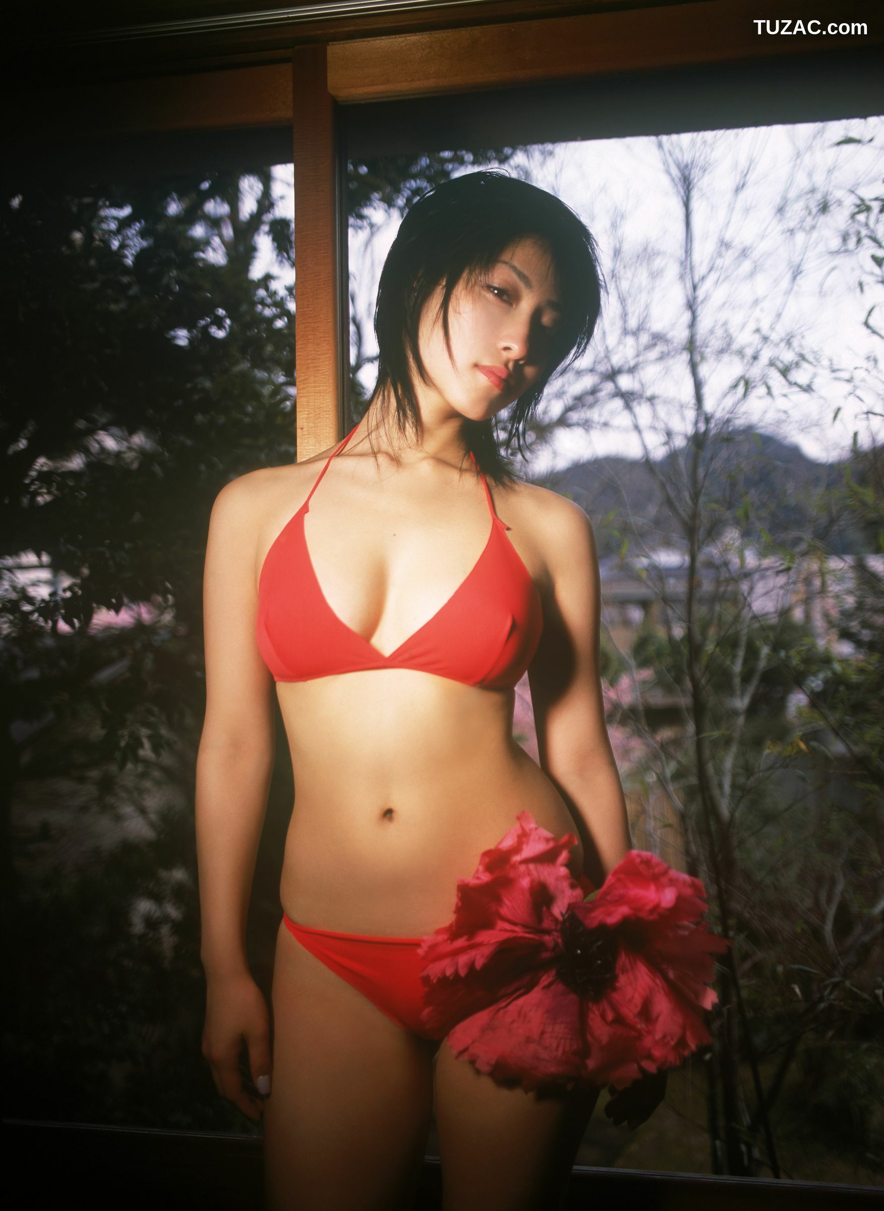 NS Eyes_ SF-No.597 Hiroko Sato 佐藤宽子/佐藤寛子 写真集[26P]