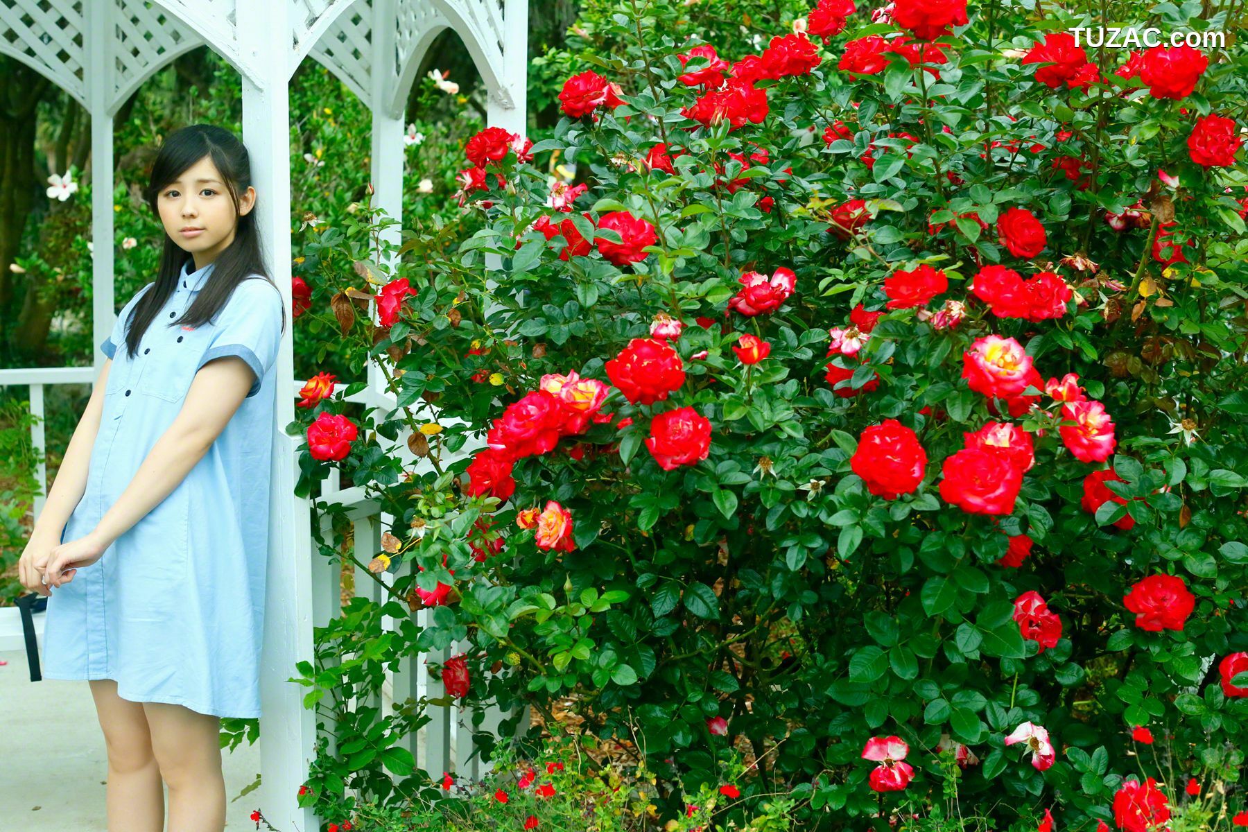 Wanibooks_ NO.126 Rina Koike 小池里奈 写真集[199P]