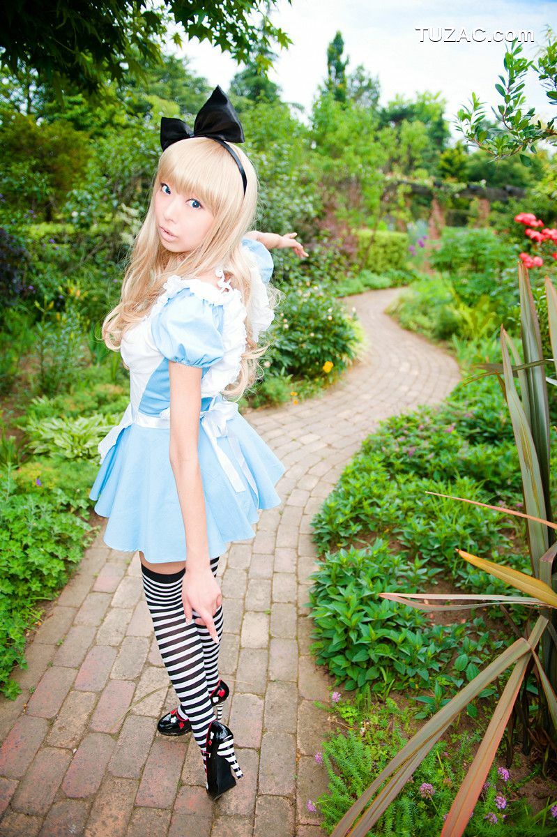 日本CosPlay_Necoco(ねここ) 《爱丽丝梦游仙境》5Set 写真集