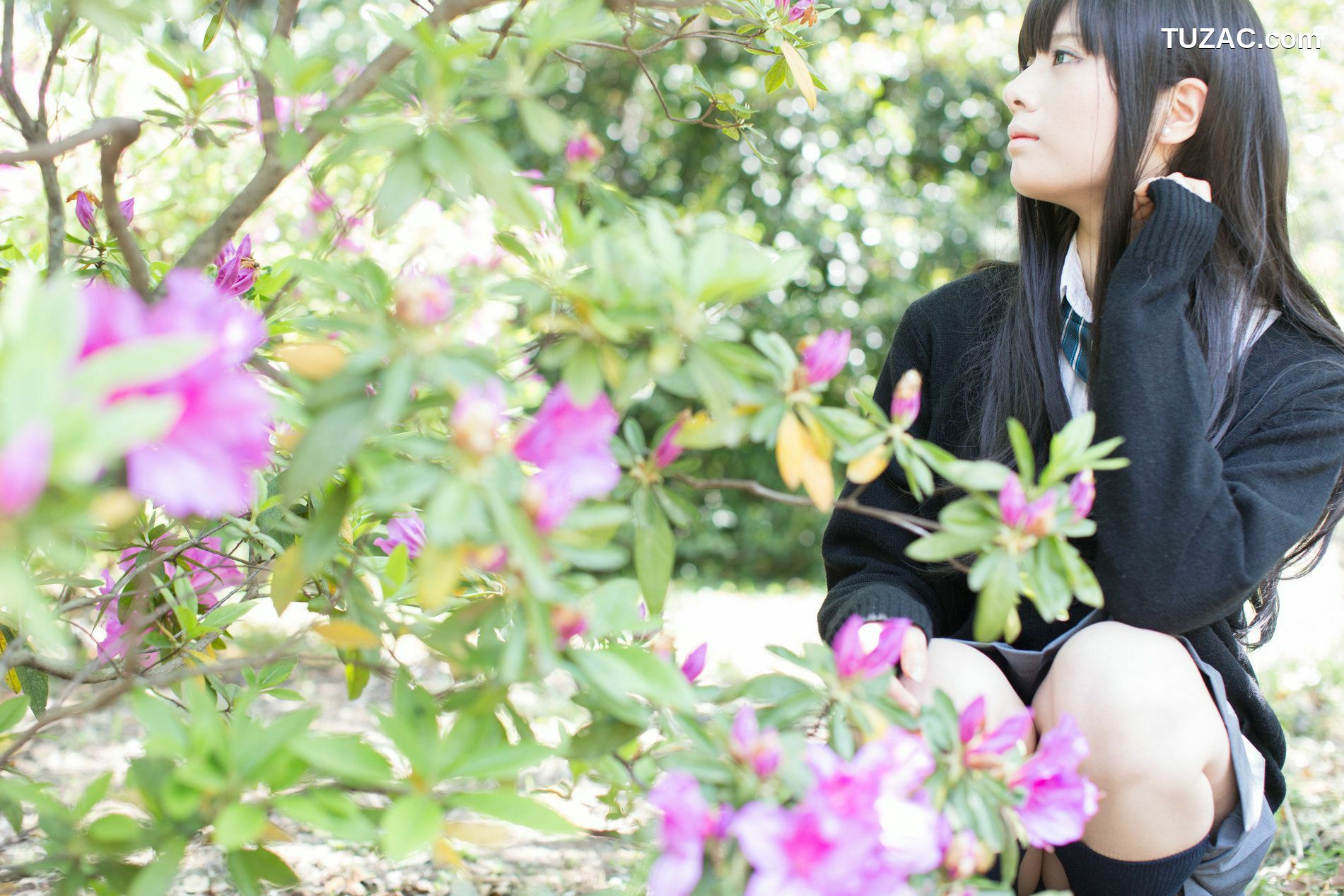 日本CosPlay_Usakichi(うさ吉) 《Idolmaster》渋谷凛 写真集[97P]