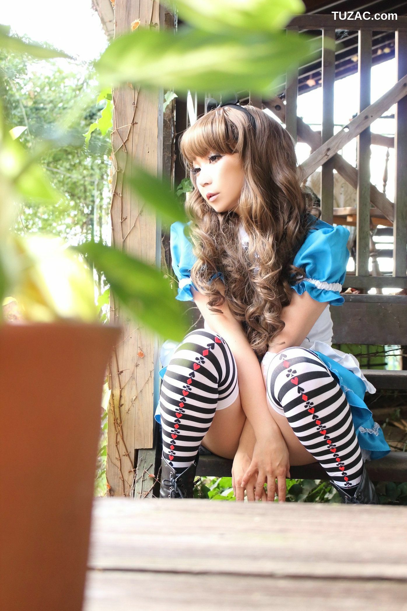 日本CosPlay_日暮らん 《Alice&#039;s Adventures in Wonderland》 Lite.Ver. 写真集[100P]