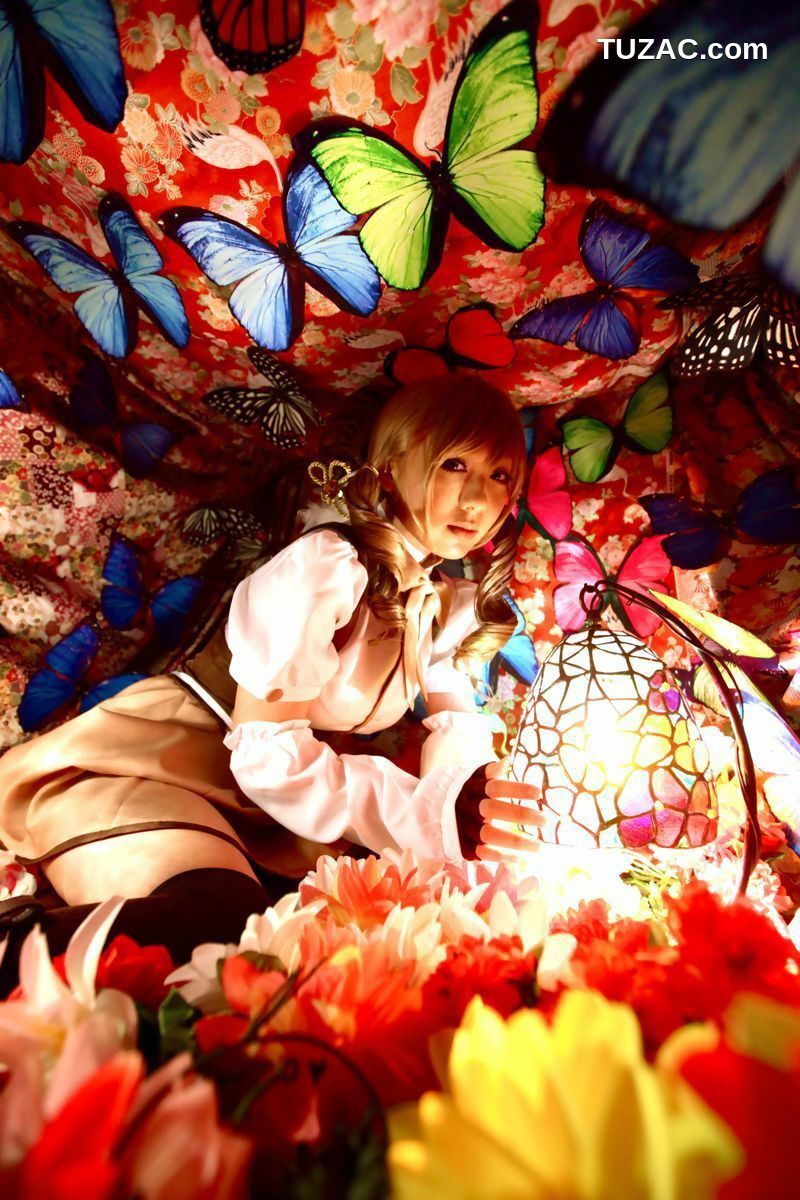 日本CosPlay_華群みさき《魔法少女まどか☆マギカ》Tomoe Mami(巴マミ) 写真集[100P]