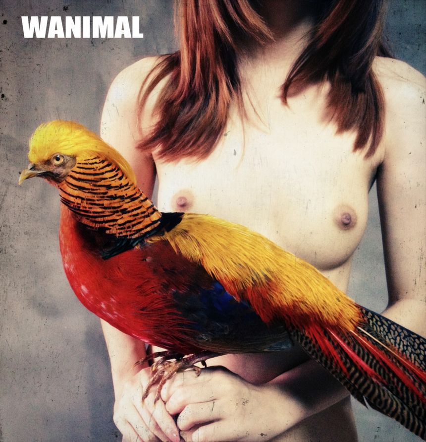 WANIMAL出品无圣光套图（二）[107P]