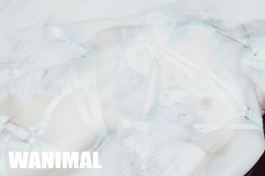 WANIMAL出品无圣光套图（十一）[107P]