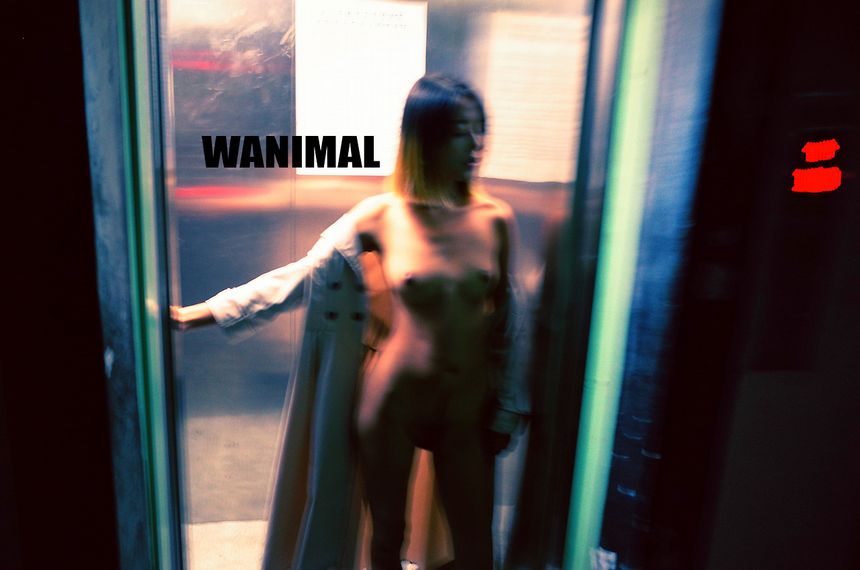 WANIMAL出品无圣光套图（十一）[107P]