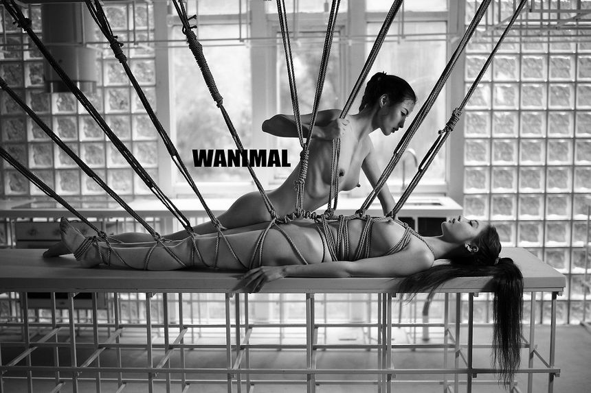 WANIMAL出品无圣光套图（十三）[104P]
