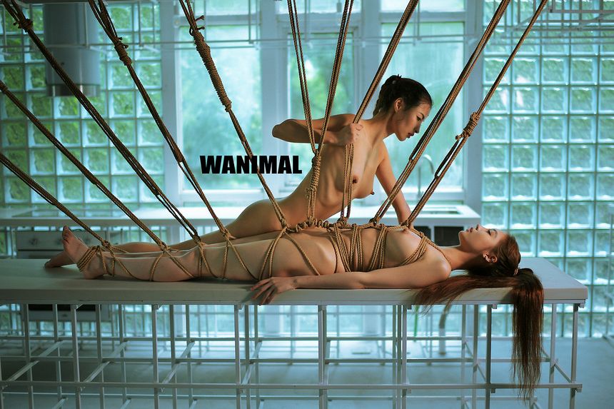 WANIMAL出品无圣光套图（十三）[104P]