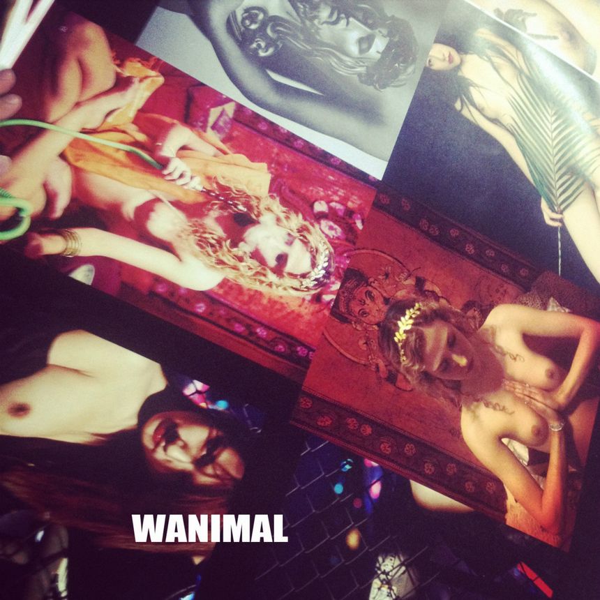 WANIMAL出品无圣光套图（十九）[100P]