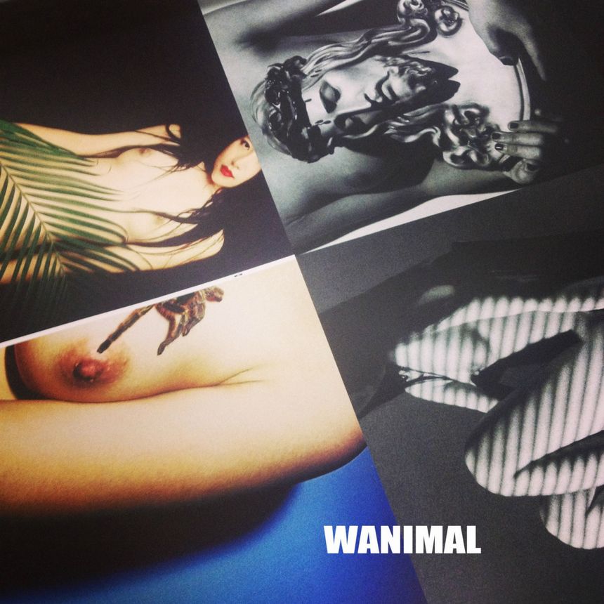WANIMAL出品无圣光套图（十九）[100P]