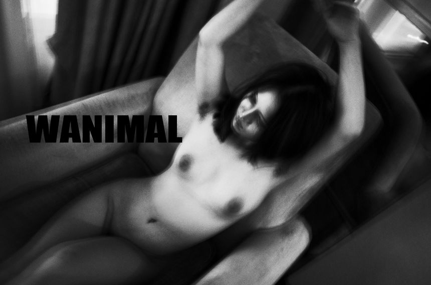 WANIMAL出品无圣光套图（十五）[134P]