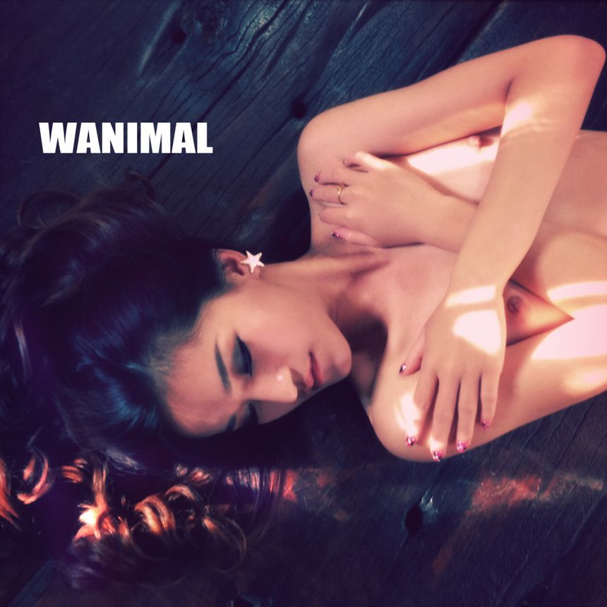 WANIMAL出品无圣光套图（四）[71P]