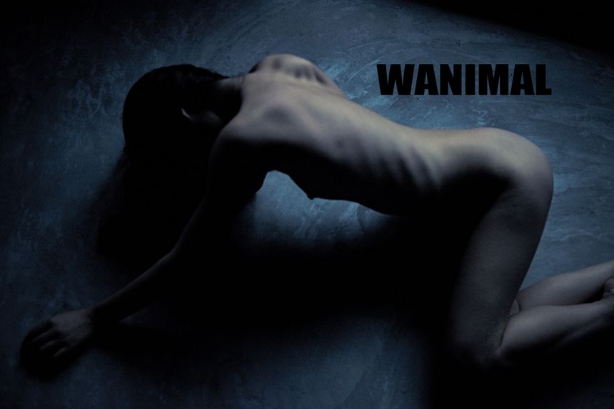 WANIMAL官方出品10月VIP无圣光套图[124P]