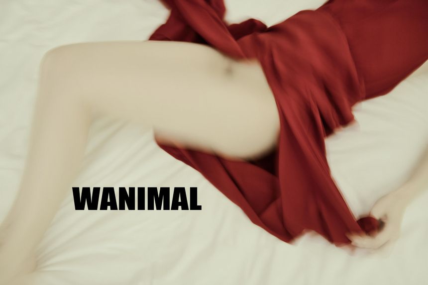 WANIMAL官方出品1月VIP无圣光套图[101P]