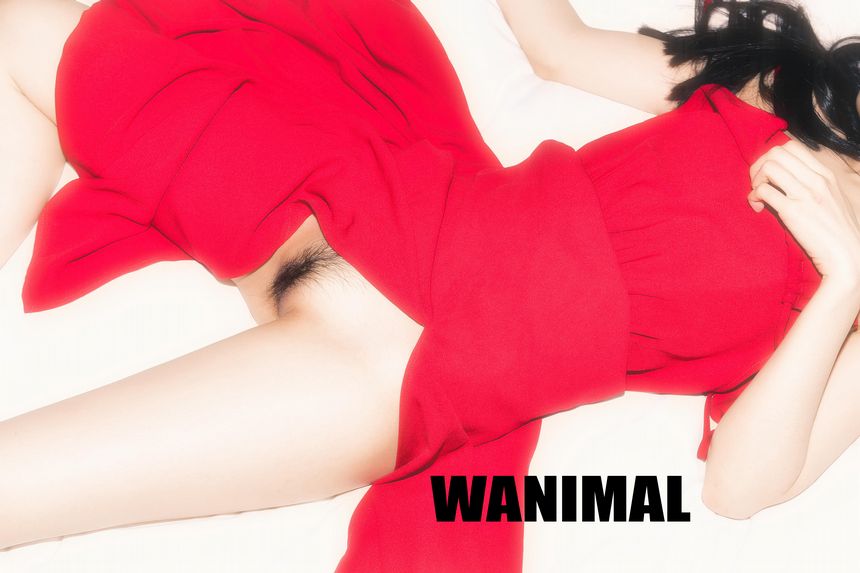 WANIMAL官方出品1月VIP无圣光套图[101P]