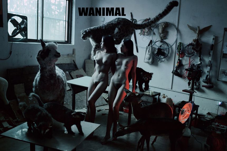 WANIMAL官方出品2017年12月VIP无圣光套图[149P]