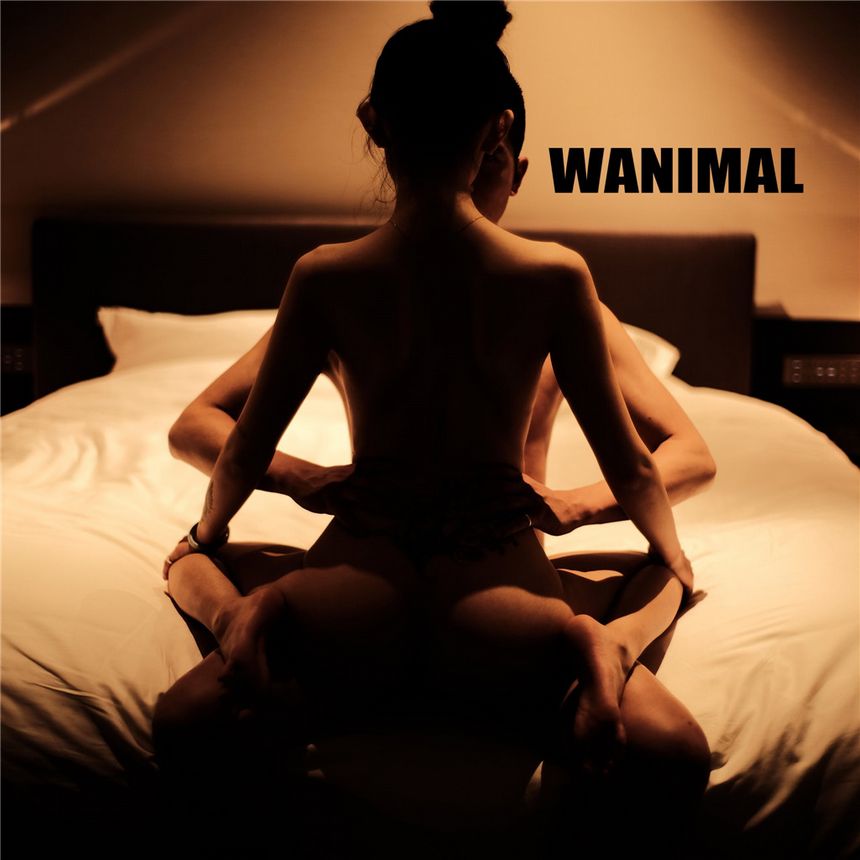 WANIMAL官方出品2019年6月无圣光套图[70P]