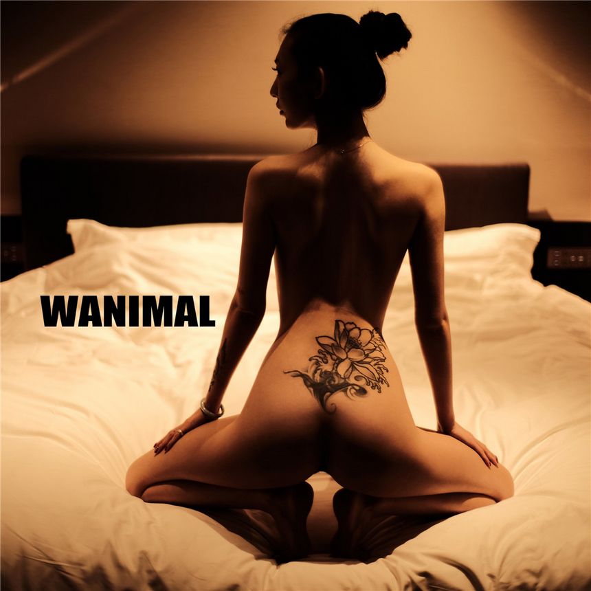 WANIMAL官方出品2019年6月无圣光套图[70P]