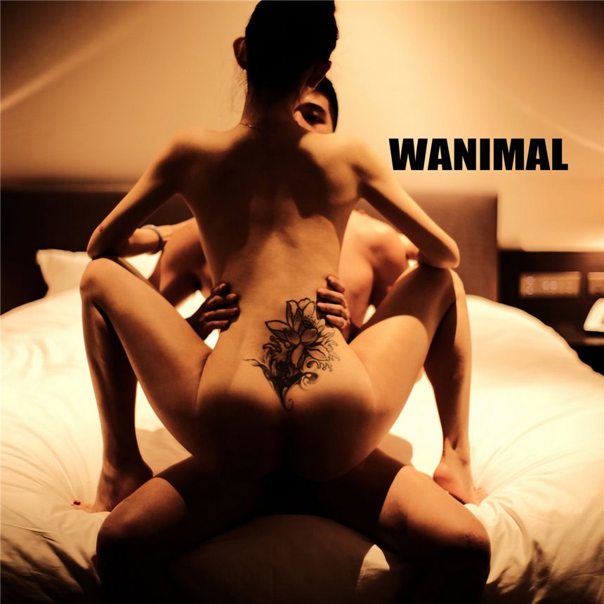 WANIMAL官方出品2019年6月无圣光套图[70P]