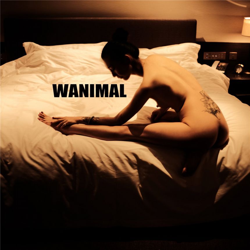 WANIMAL官方出品2019年6月无圣光套图[70P]