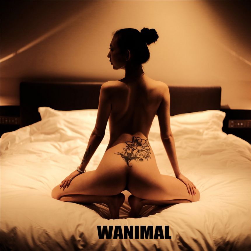 WANIMAL官方出品2019年6月无圣光套图[70P]