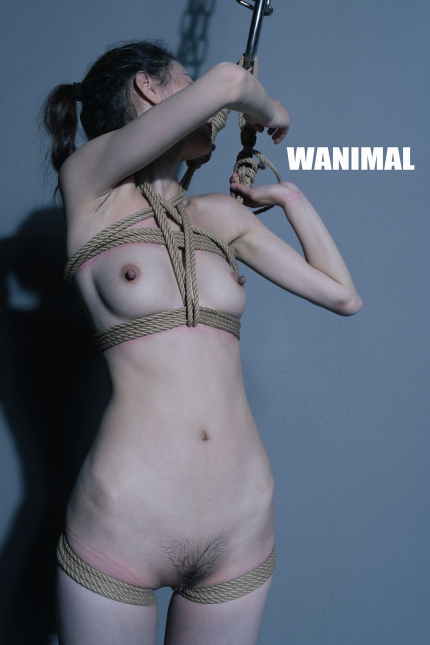 WANIMAL官方出品2月SM无圣光套图[150P]