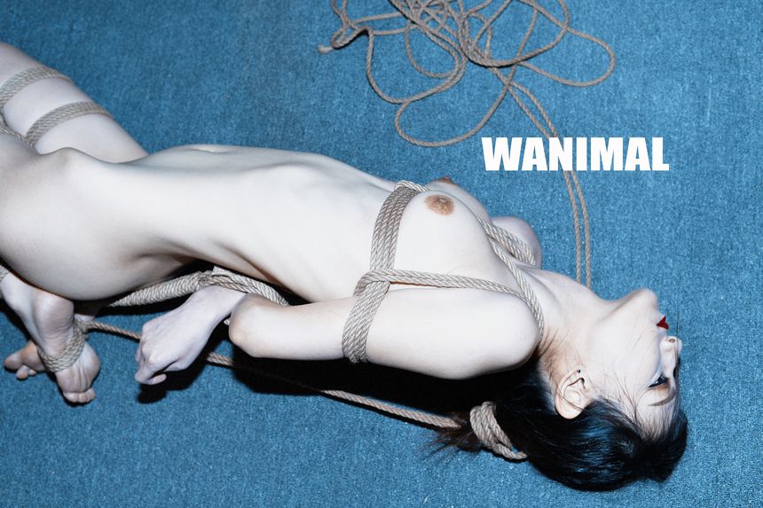 WANIMAL官方出品2月SM无圣光套图[150P]
