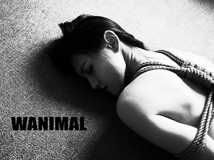 WANIMAL官方出品2月SM无圣光套图[150P]