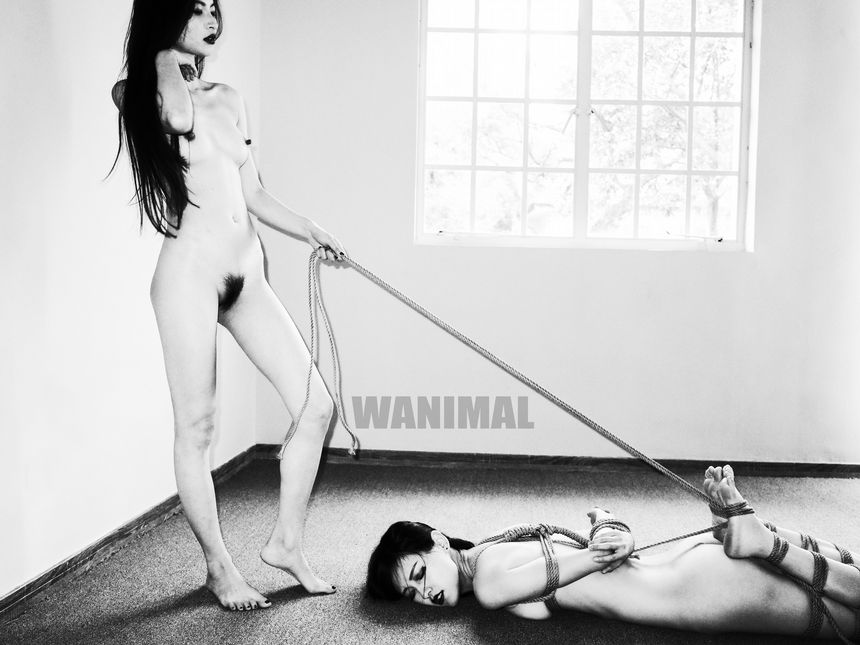 WANIMAL官方出品2月SM无圣光套图[150P]