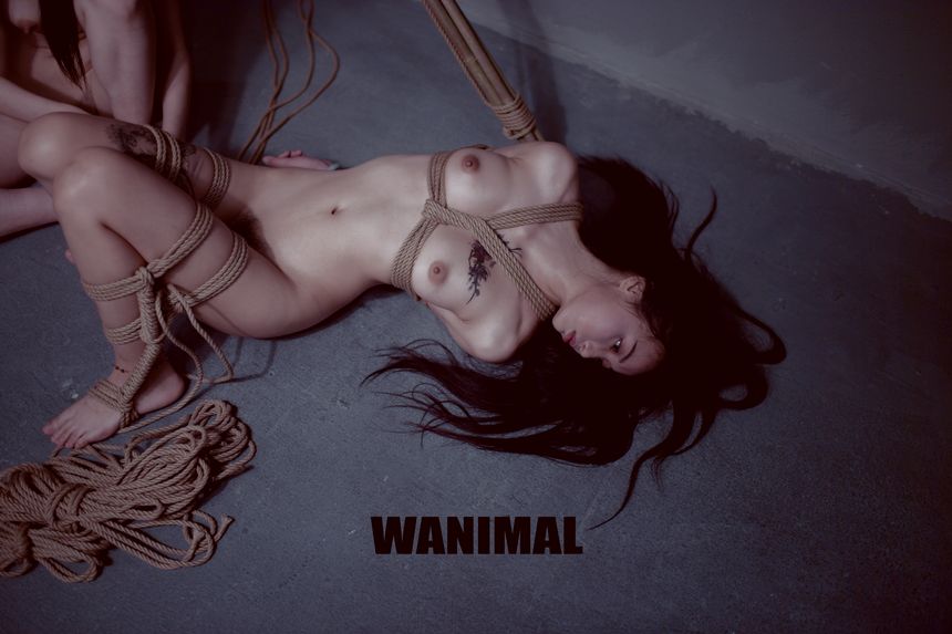 WANIMAL官方出品2月SM无圣光套图[150P]