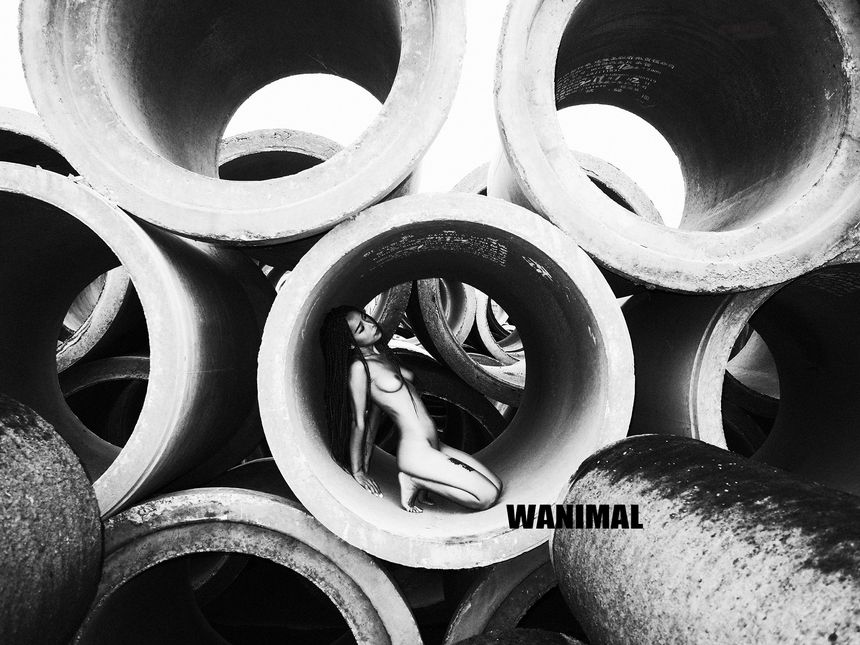 WANIMAL官方出品5月VIP无圣光套图[160P]