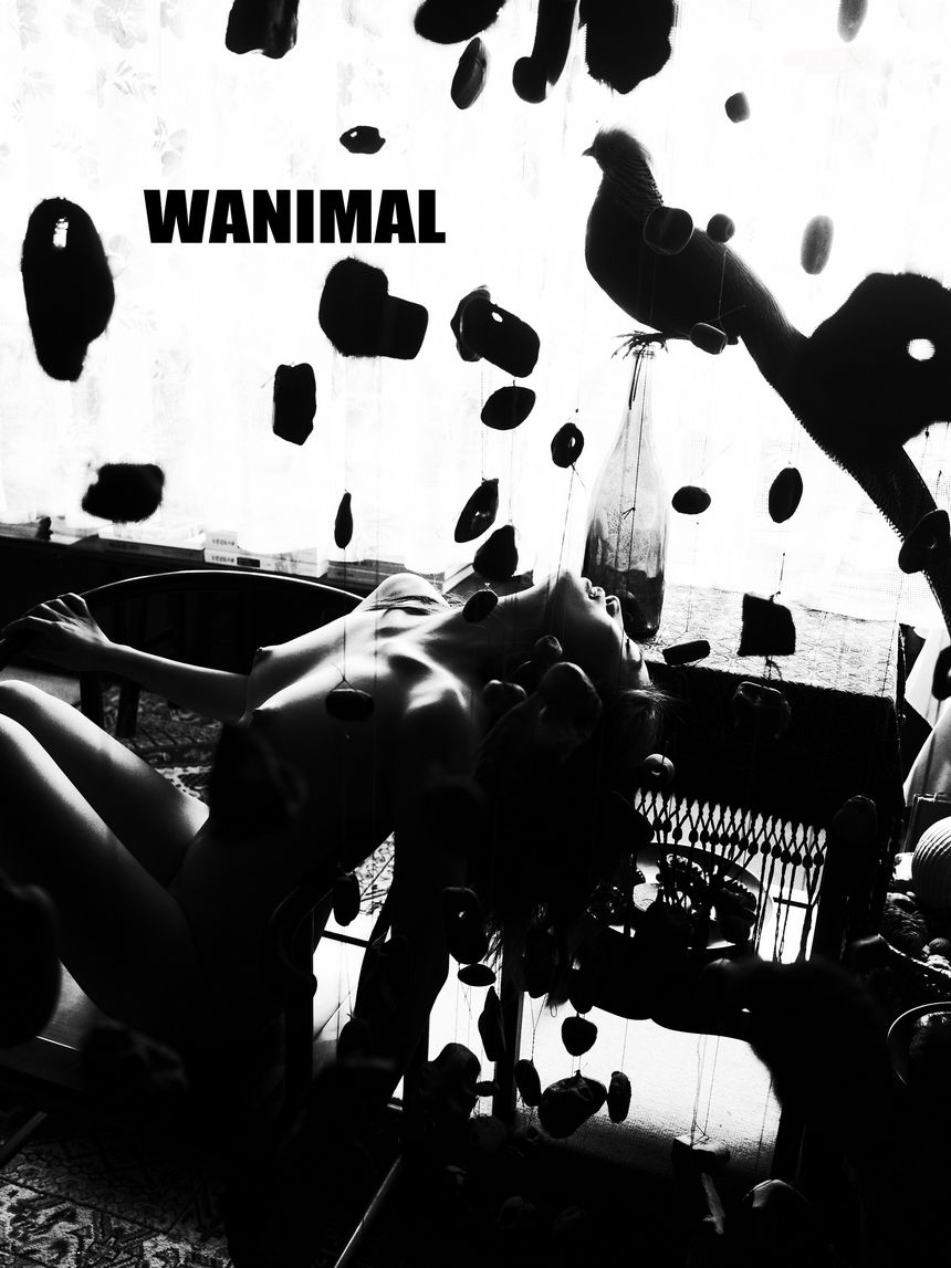 WANIMAL官方出品5月VIP无圣光套图[160P]