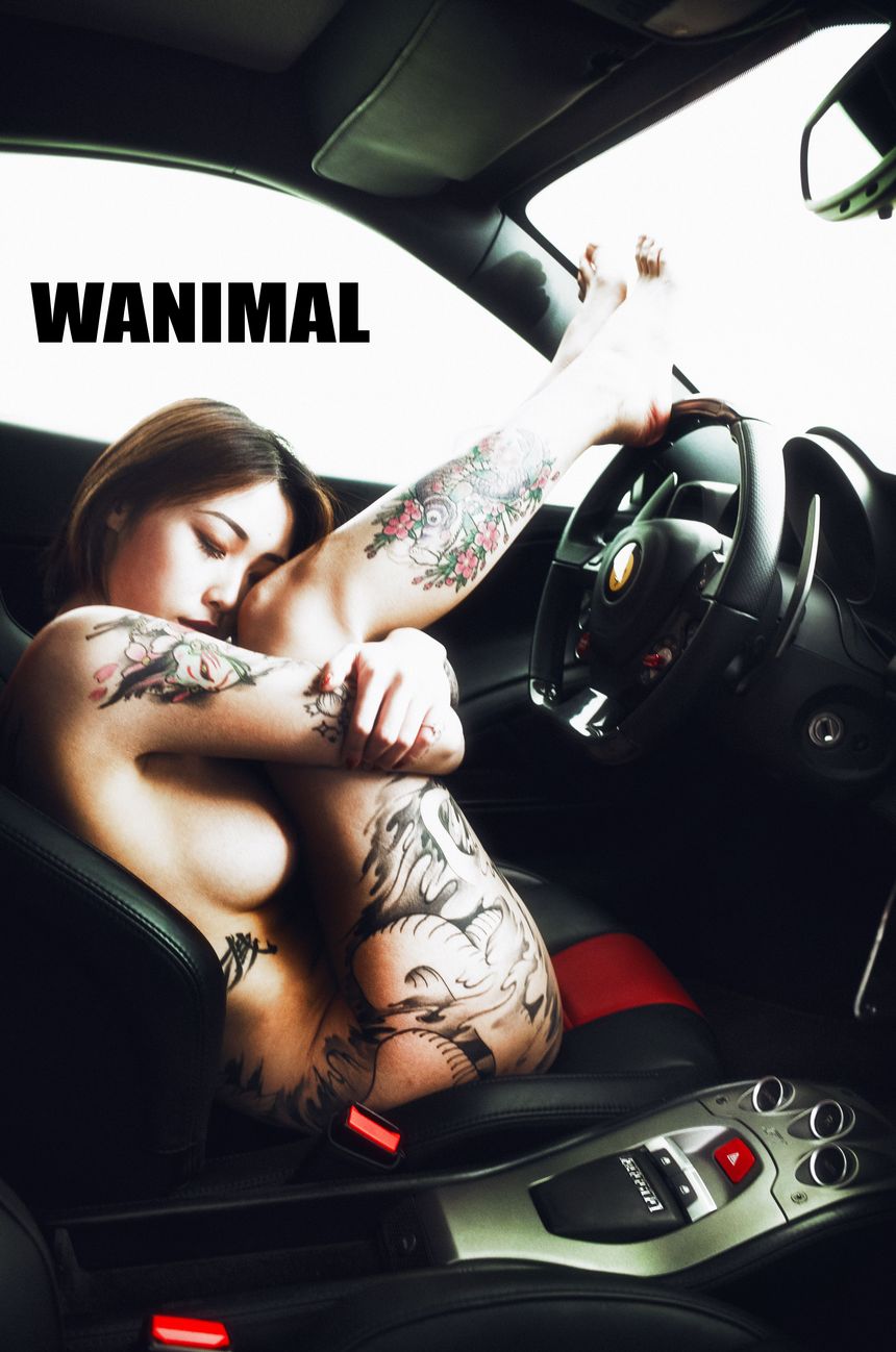 WANIMAL官方出品法拉利女孩VIP无圣光套图（上）[75P]