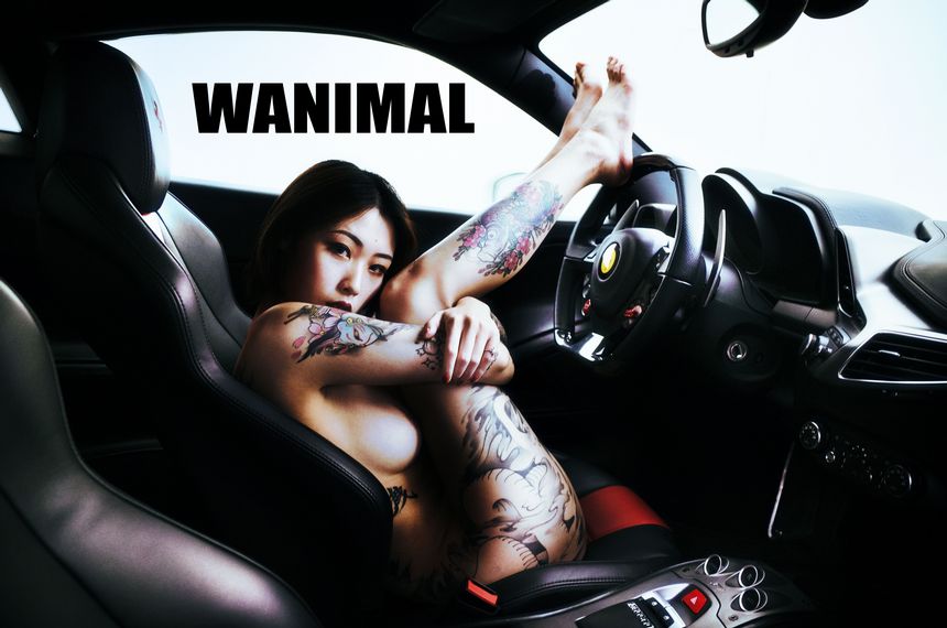 WANIMAL官方出品法拉利女孩VIP无圣光套图（上）[75P]