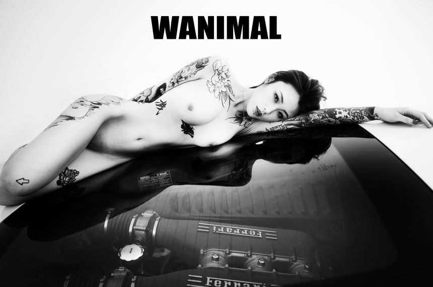 WANIMAL官方出品法拉利女孩VIP无圣光套图（下）[70P]