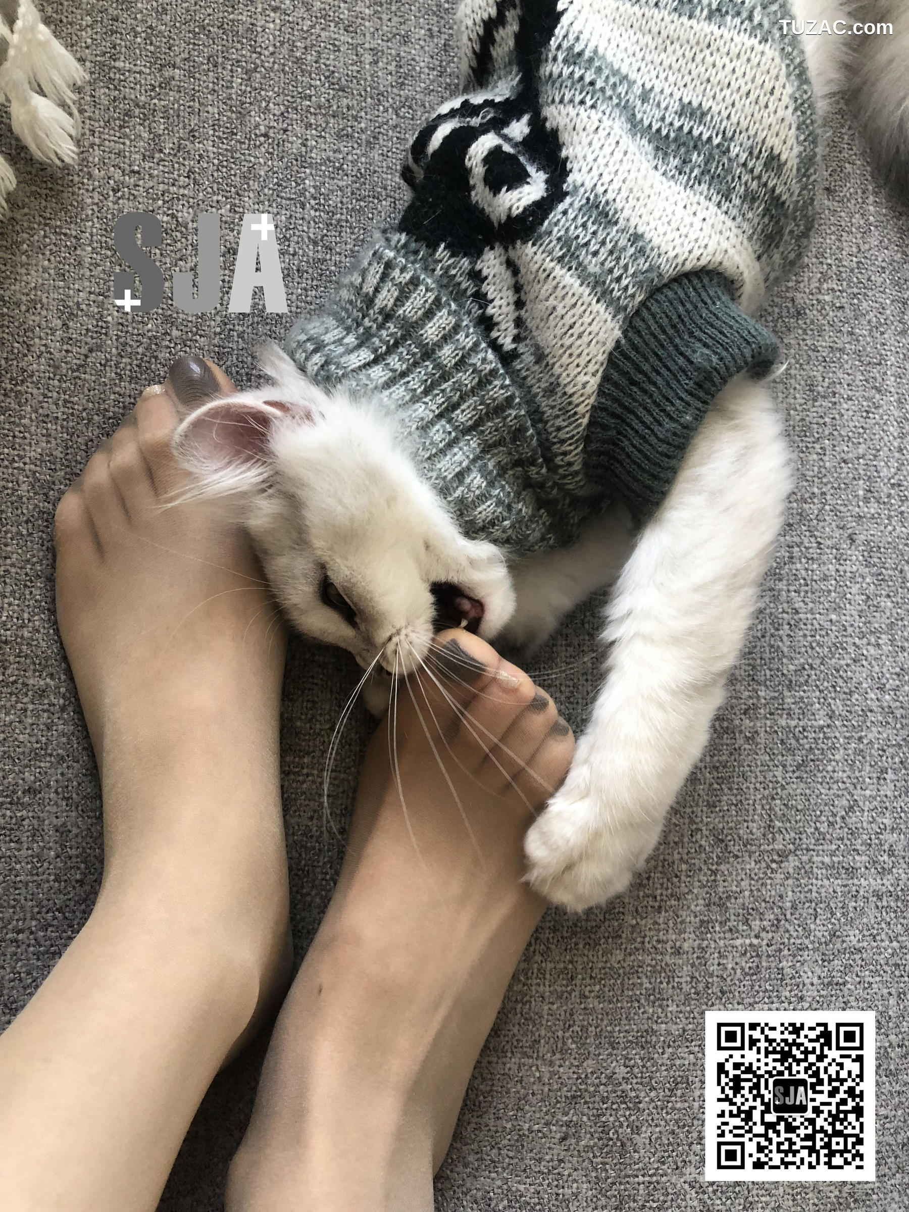 佳爷SJA-013-闺蜜视角《喵》