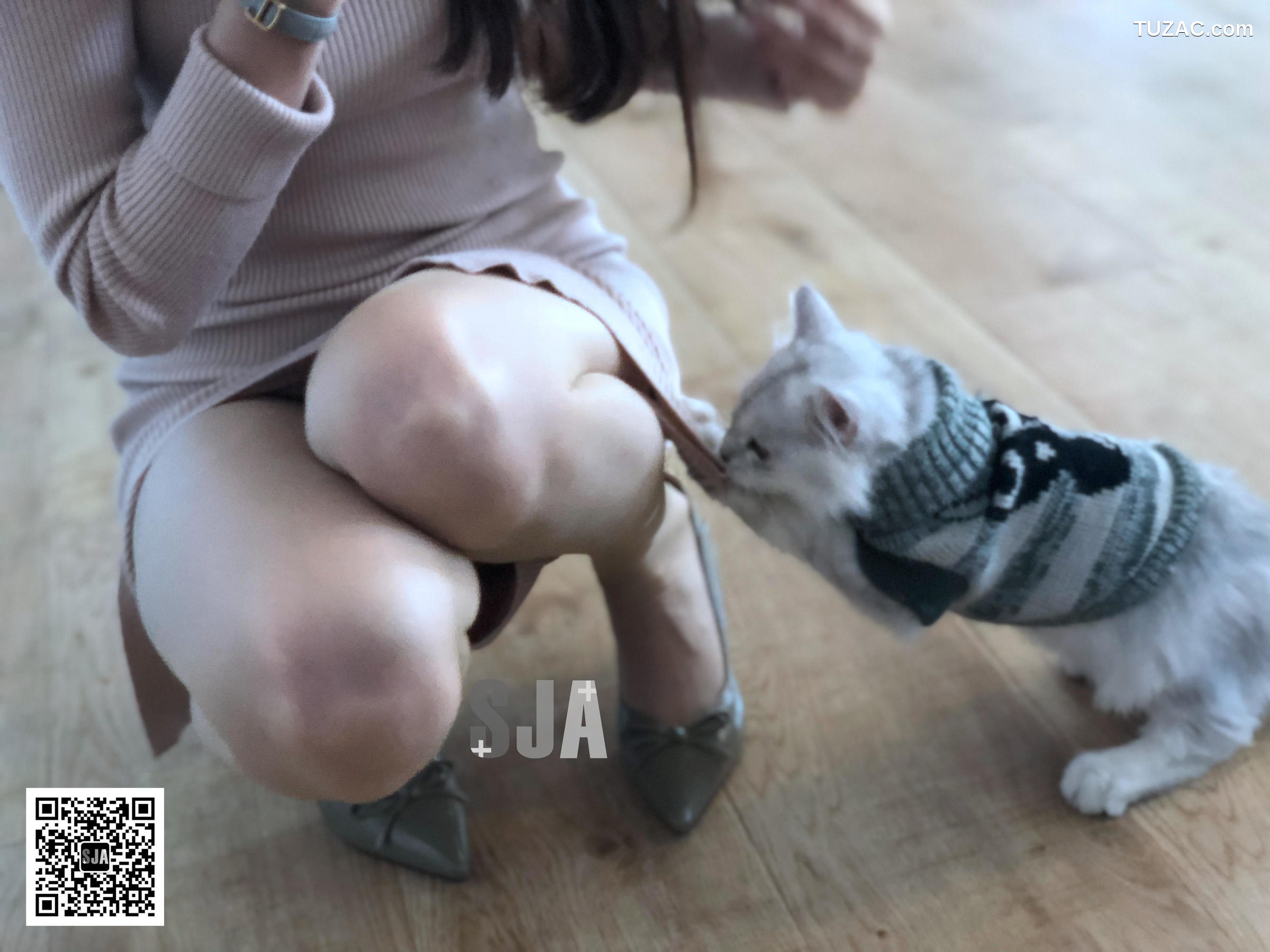 佳爷SJA-013-闺蜜视角《喵》